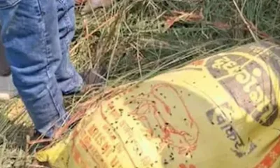 বাড়িতে দুই স্ত্রী, পরকীয়ায় জড়িয়ে শেষে প্রাণটাই হারালেন
