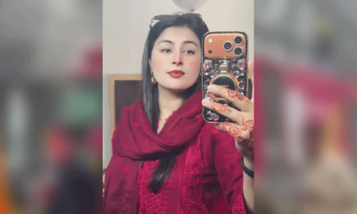 টিকটক ইনফ্লুয়েন্সার স্ত্রীকে গুলি করে স্বামীর আত্মহত্যা